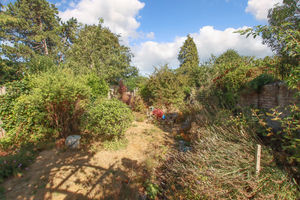 Photo 2- click for photo gallery